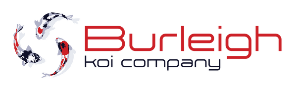 Burleigh Koi Company